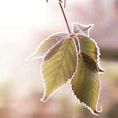 棋牌娱乐www官方网址入口最新版本